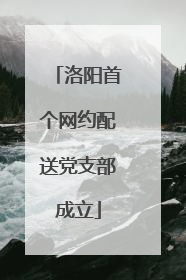 洛阳首个网约配送党支部成立